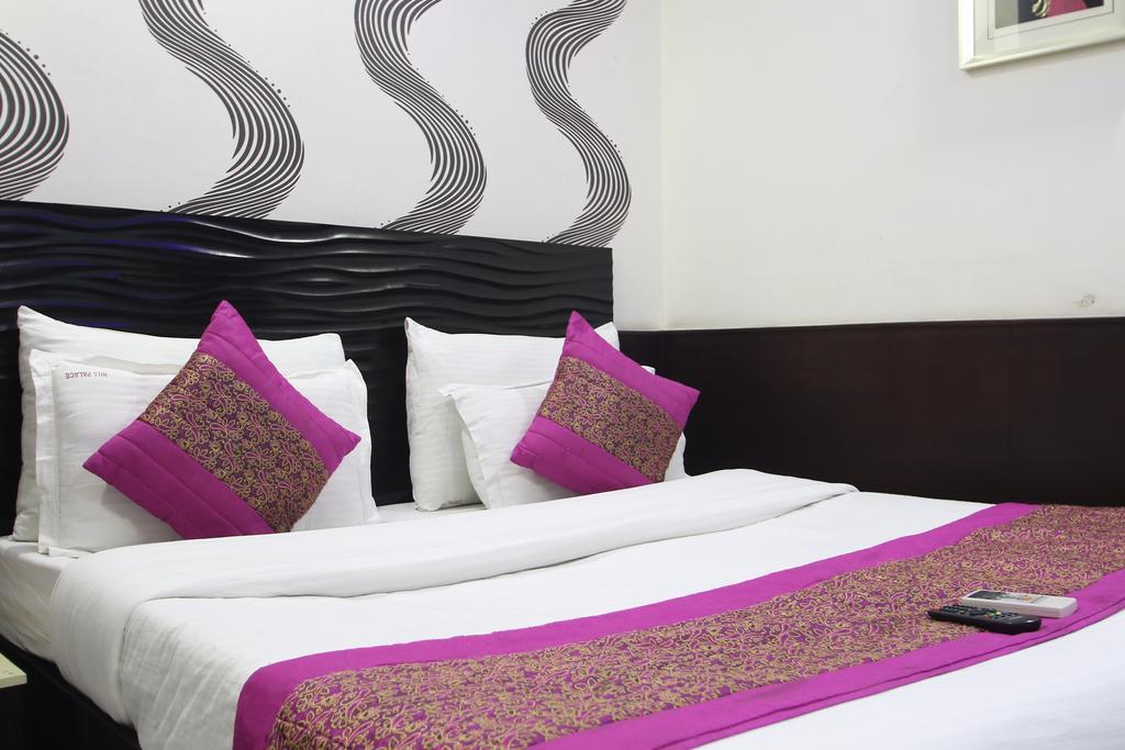 Hotel Hill Palace -Near Karol Bagh Metro Station Dillí Exteriér fotografie